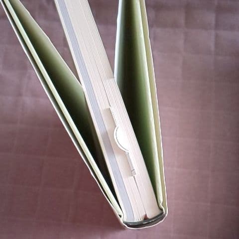 バード・クリニック・プラクティス : 鳥の治療と看護 : 鳥類臨床の