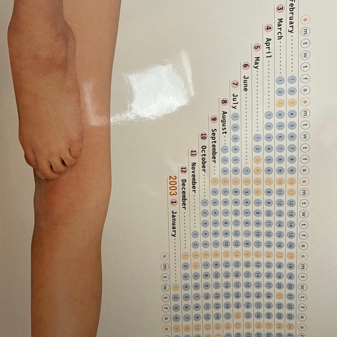 佐藤江梨子•等身大カレンダー