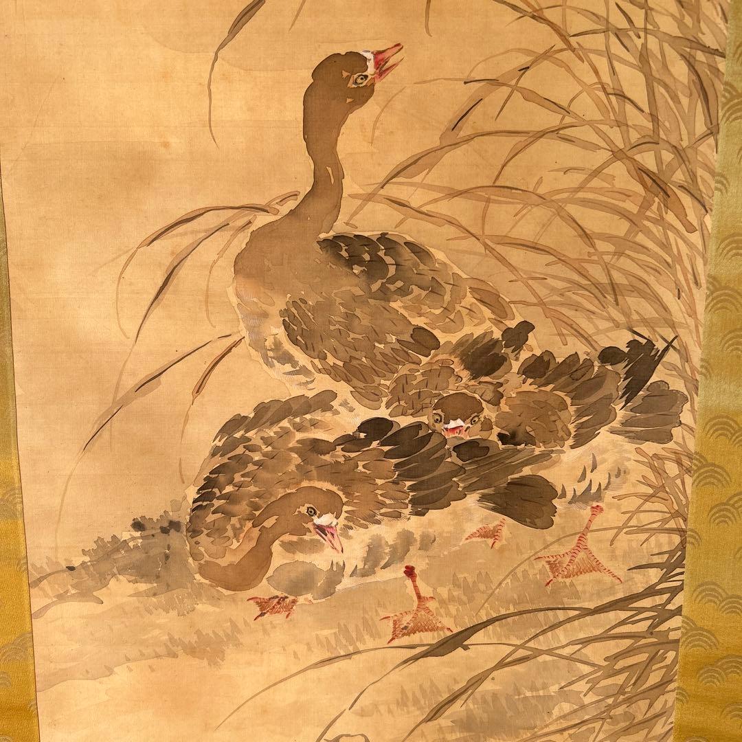 日本画掛軸 椿椿山