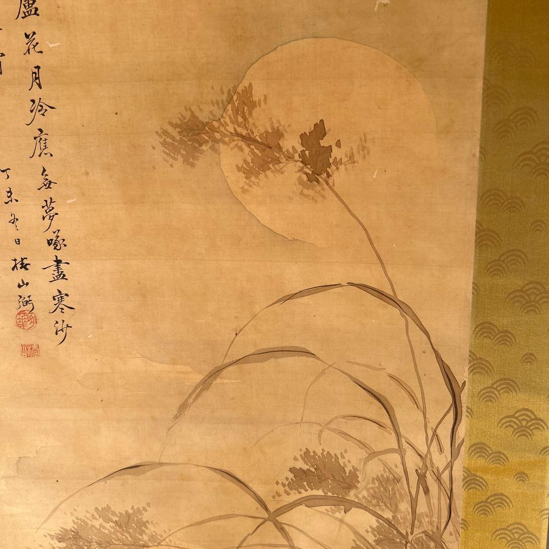 日本画掛軸 椿椿山