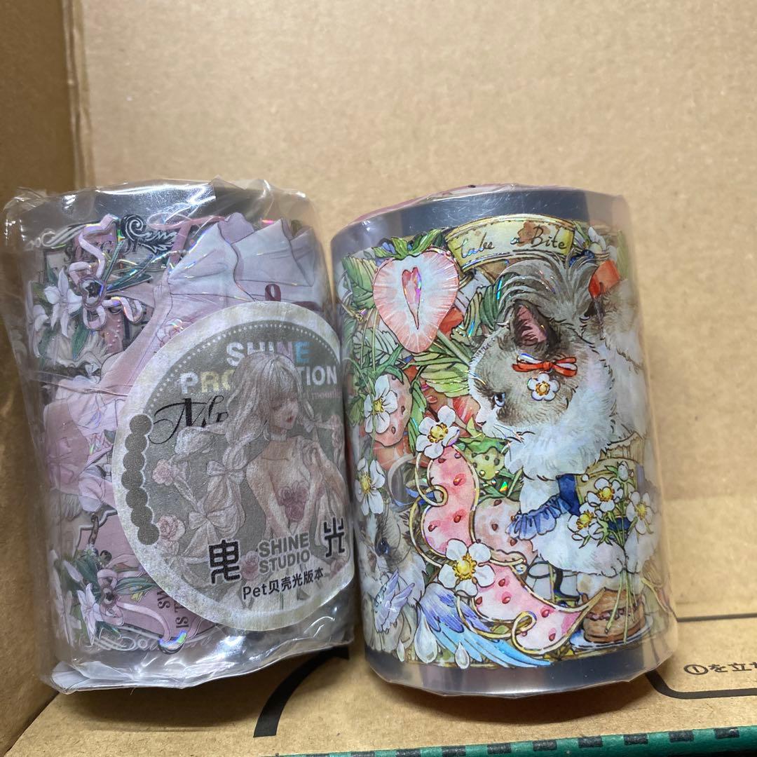 2595 PET 5.5cm×5m 海マスキングテープ