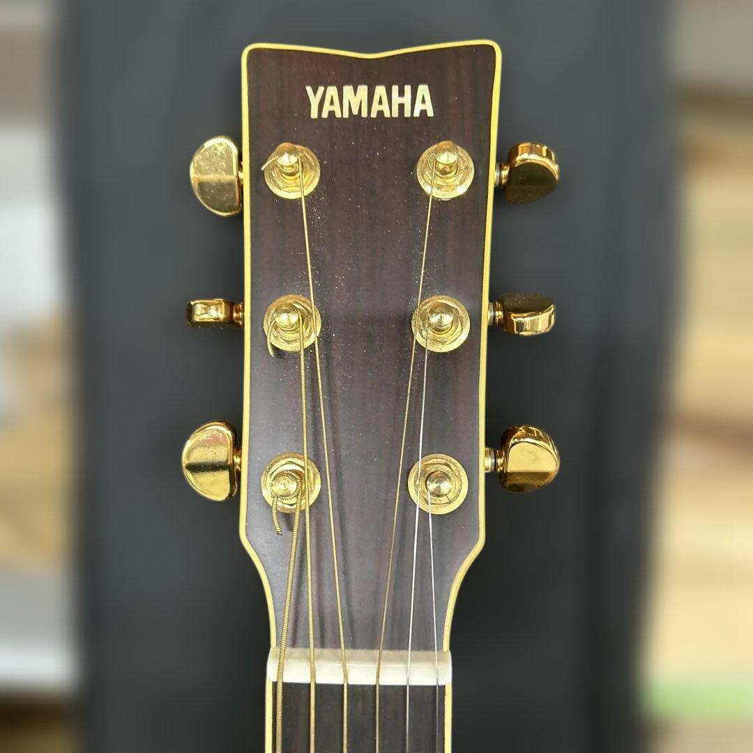 Yamaha FG425 TBS (8点セット)