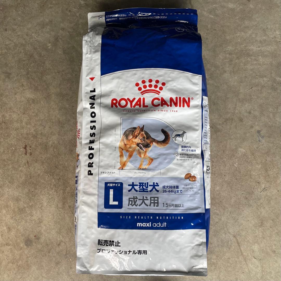 BELCANDO ADULT GF HORSE 3kg✖️1袋 800g✖️3袋