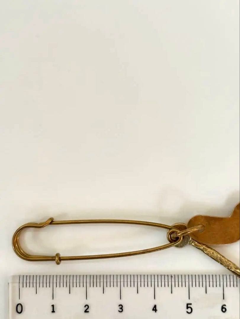 ふくの母ちゃん様専用 小原聖子さんストールピン 箱•プロフィール付き☆未