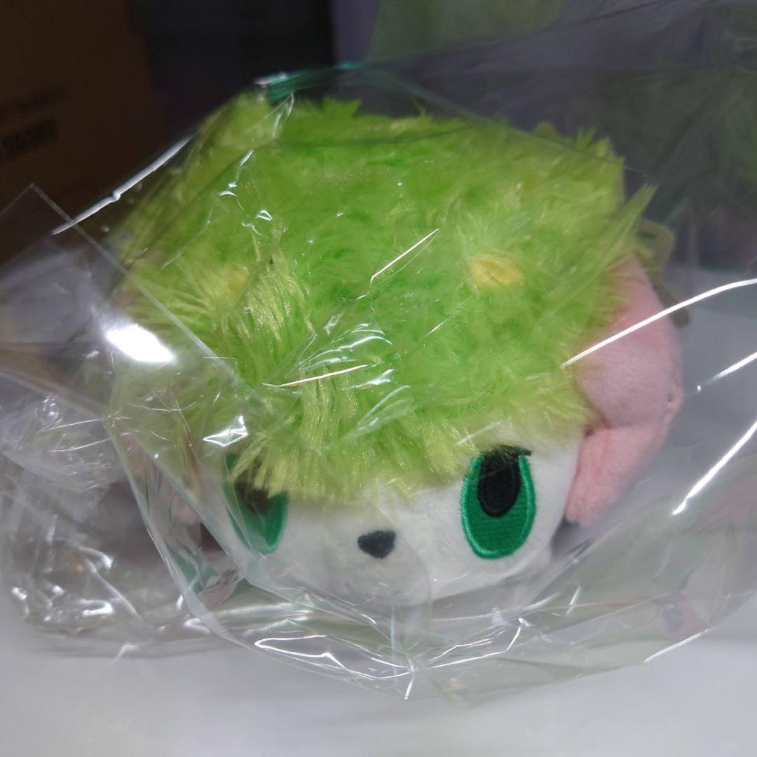 タグ付き】シェイミ/ポケドール-日本公式オンラインショップ