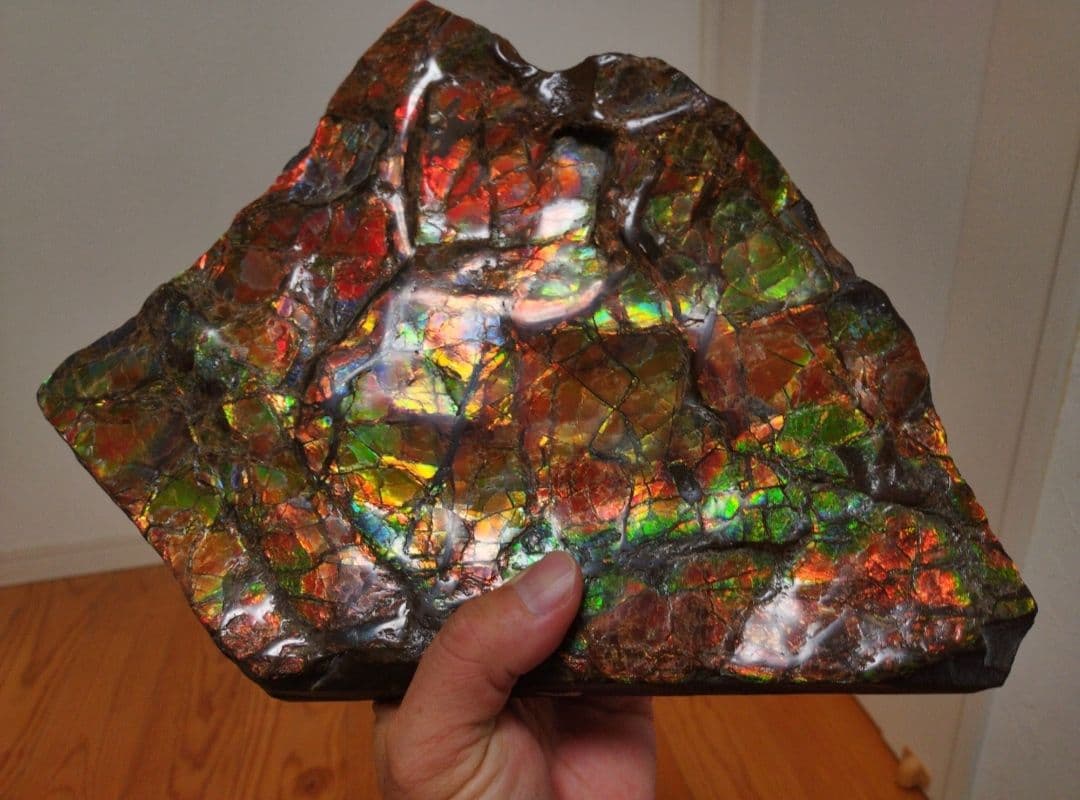 アンモライト カナダアルバータ産 アンモライト原石 化石 アンモナイト