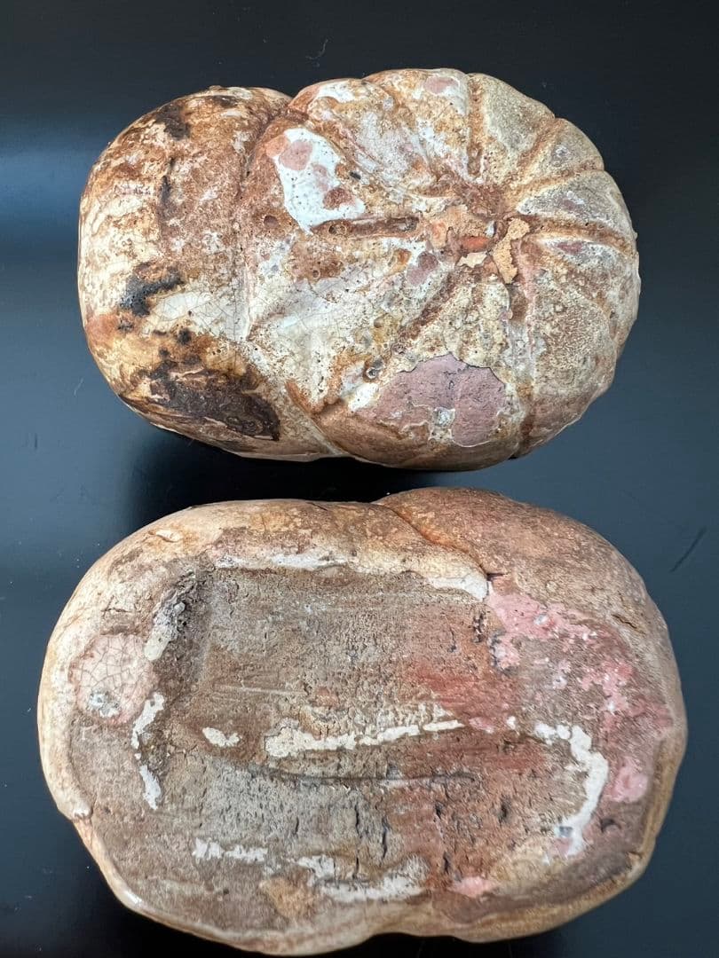 菊 香合 時代物 茶道具