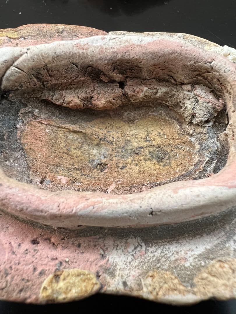 菊 香合 時代物 茶道具