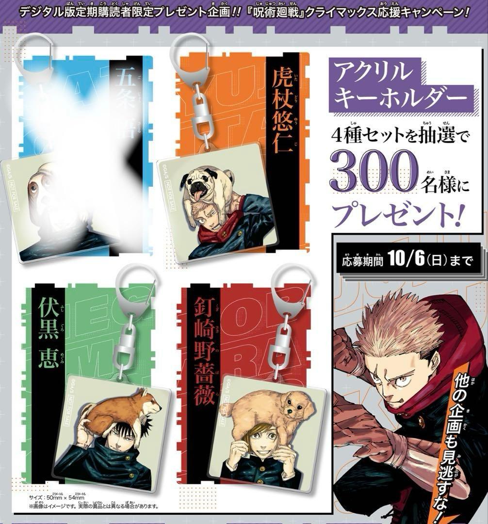 呪術廻戦 虎杖悠仁 伏黒恵 釘崎野薔薇 ジャンプ定期購読 アクリルキーホルダー