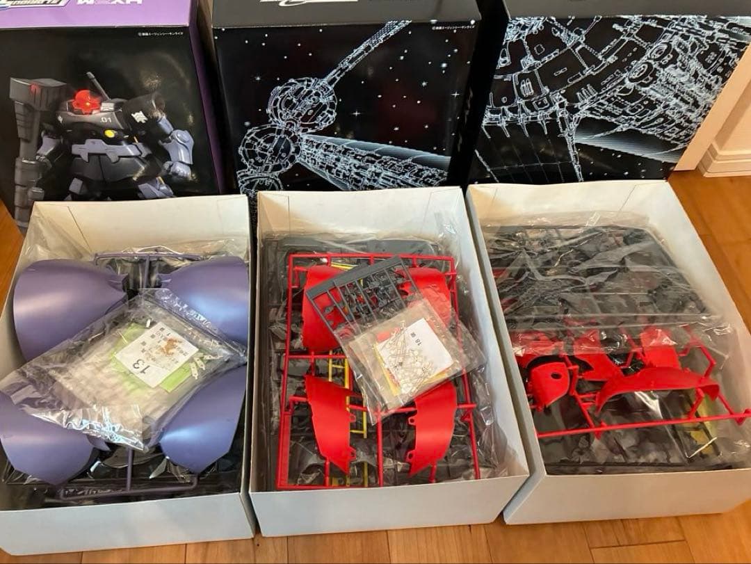 ⭐︎jinn⭐︎RICH-DOM HY2M ms-09R 1/60SCALE