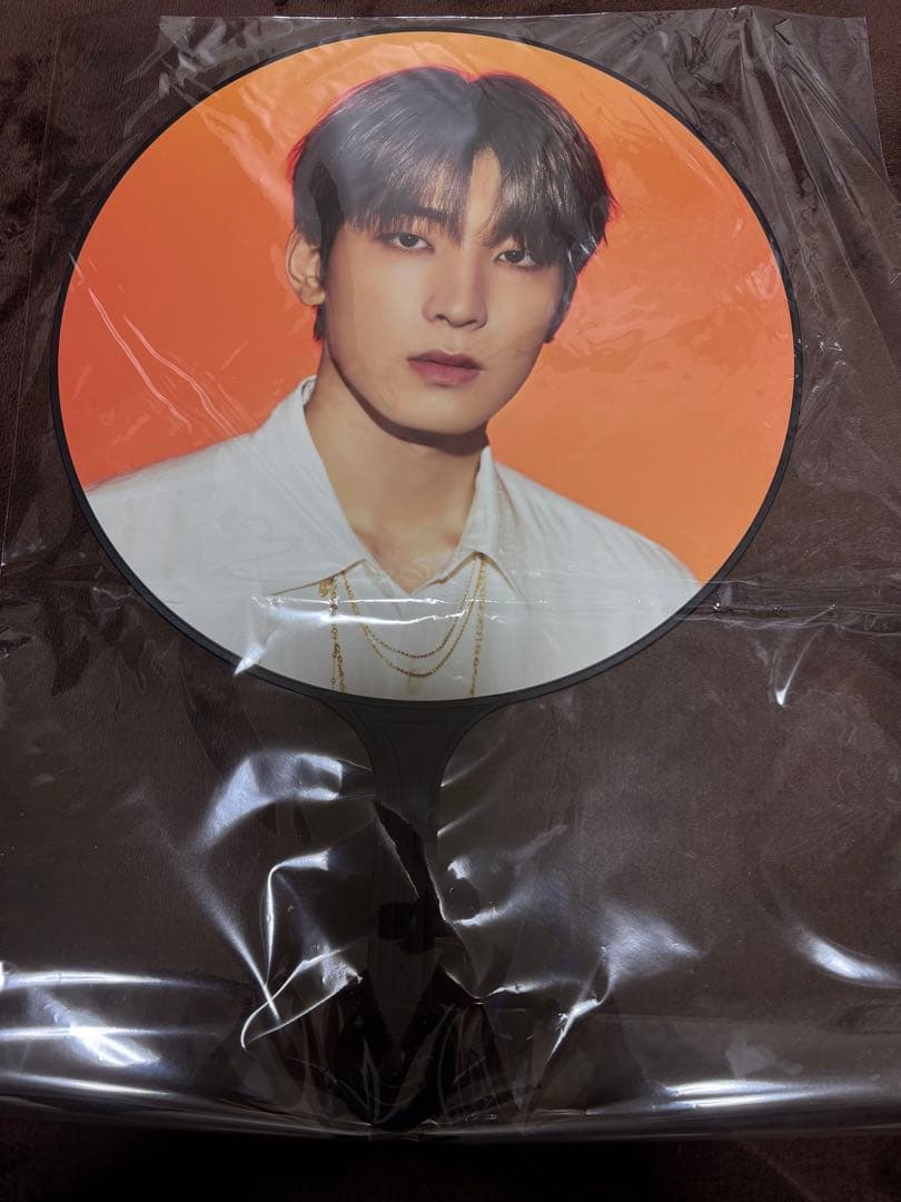 SEVENTEEN BE THE SUN ソウルコン ウォヌ うちわ