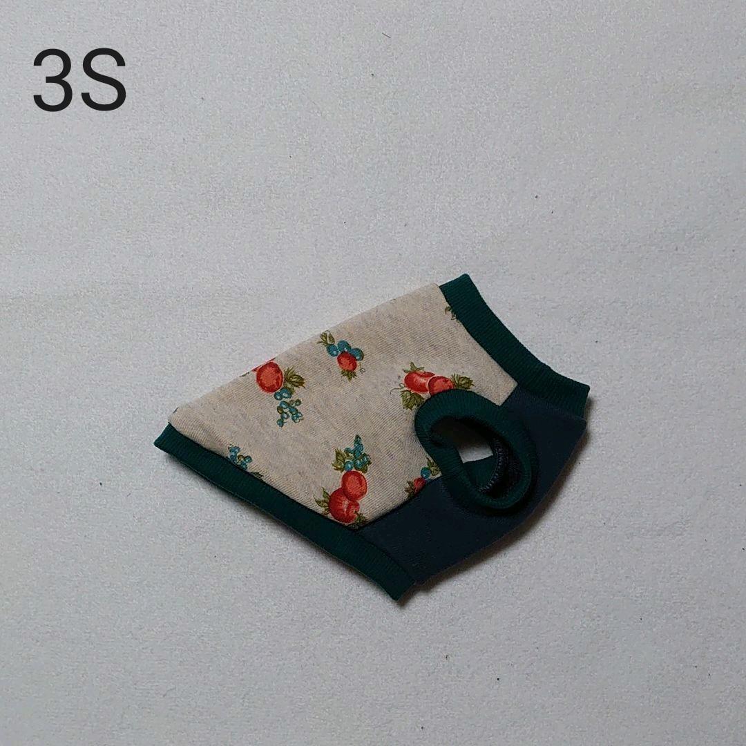 犬服 S わんこの普段着フルーツカシェモアグリーン