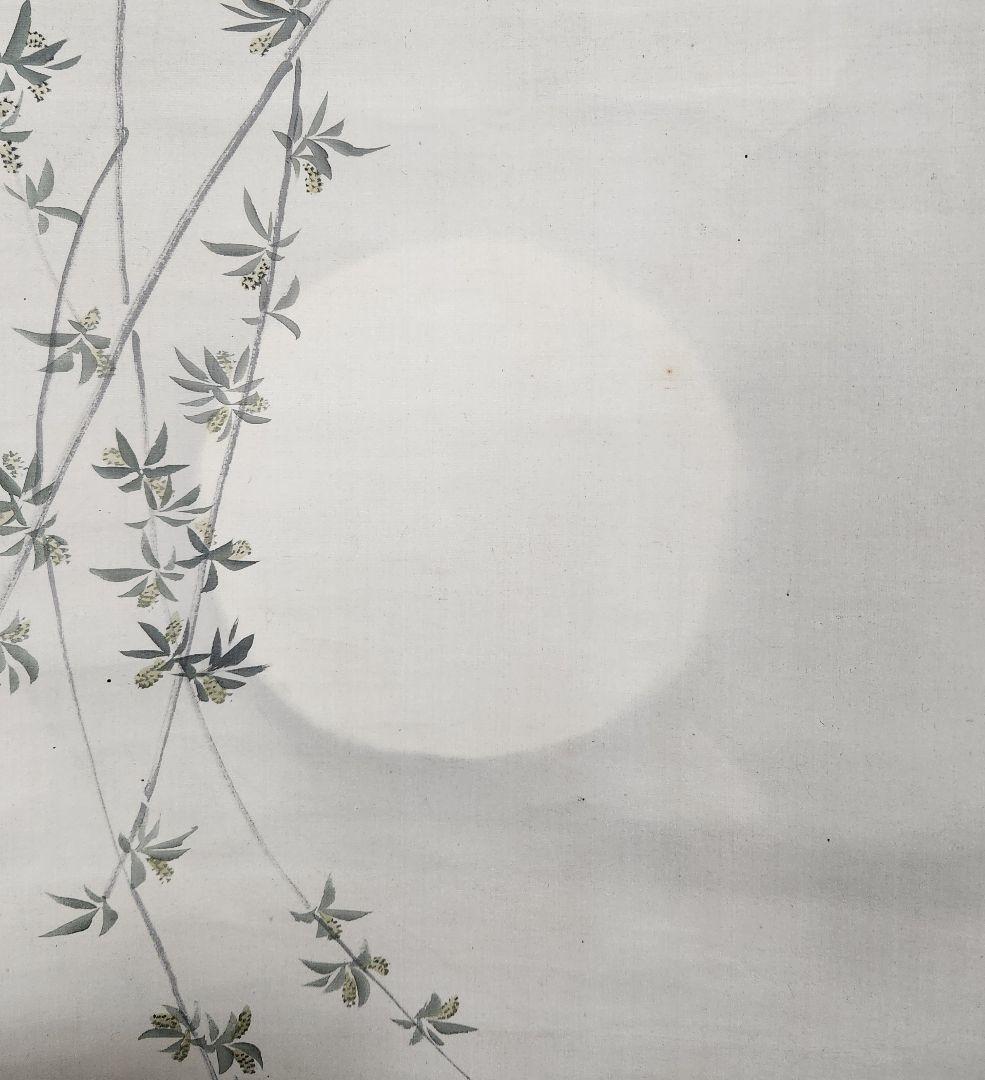 月夜/朧夜図】前川文嶺 2640 息子：孝嶺鑑定識箱 掛け軸 肉筆 - メルカリ