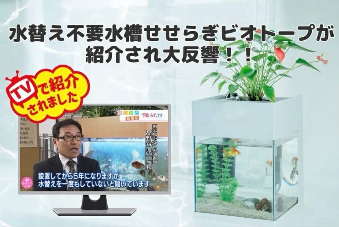 水槽　せせらぎビオトープ　20cm