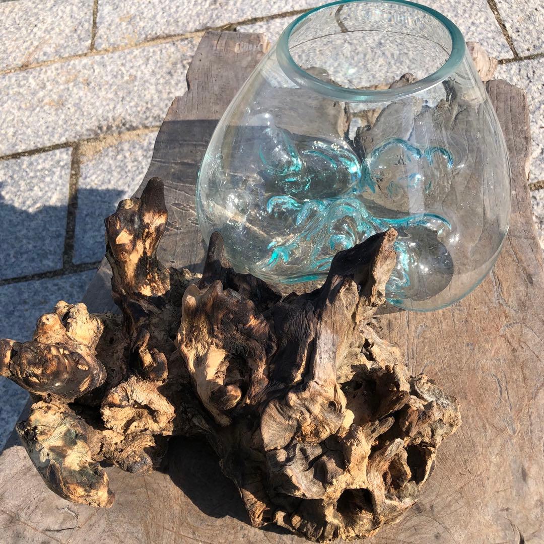 流木ガラス オブジェ中O 花瓶 金魚鉢 ガーデニング テラリウム 観賞魚 容器