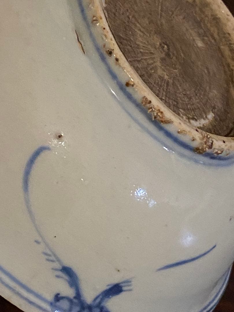 水草水禽文 古染付 平鉢 美術品・アンティーク・コレクション