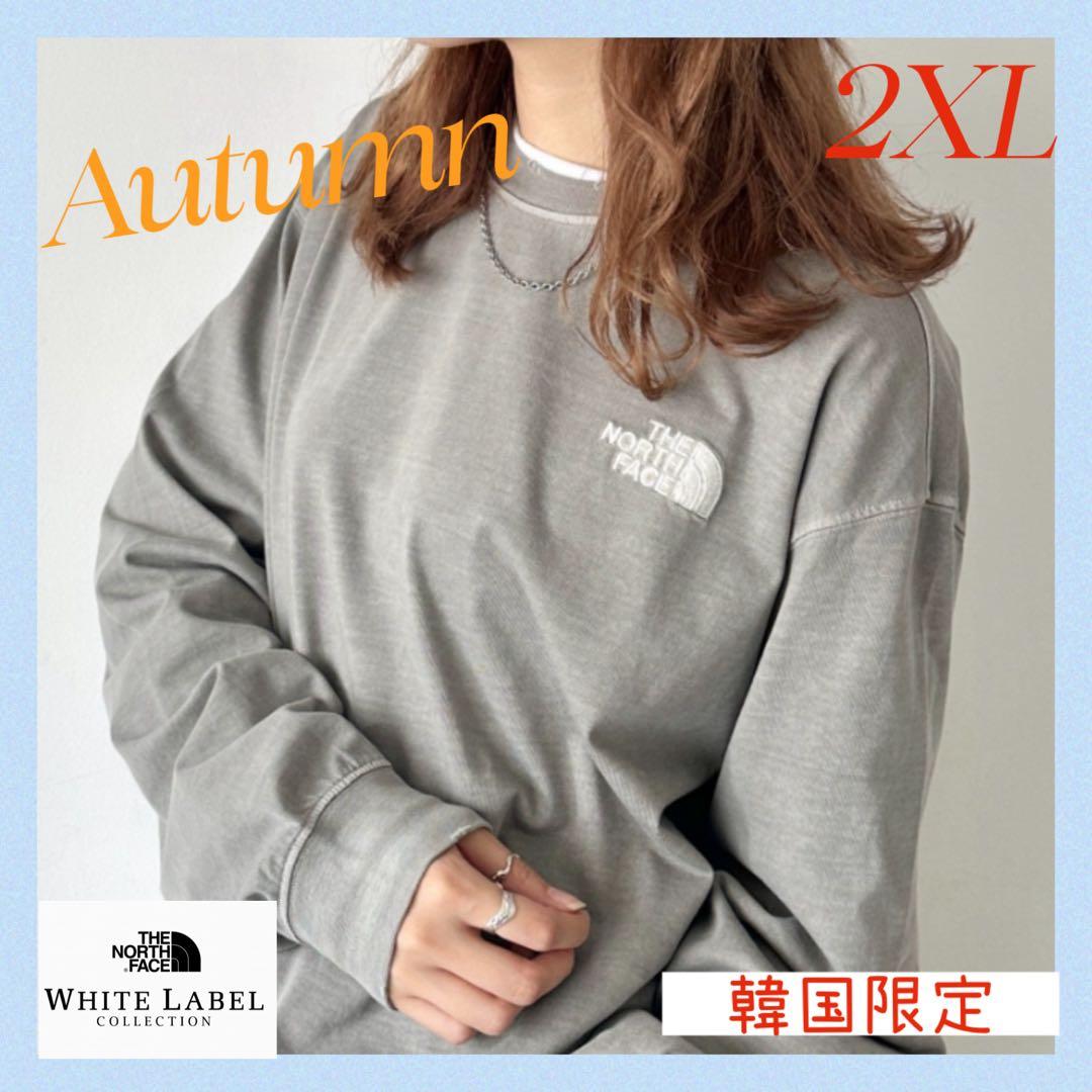 大友克洋 第43回アングレーム国際漫画祭の公式ポスター 市場流通なしの