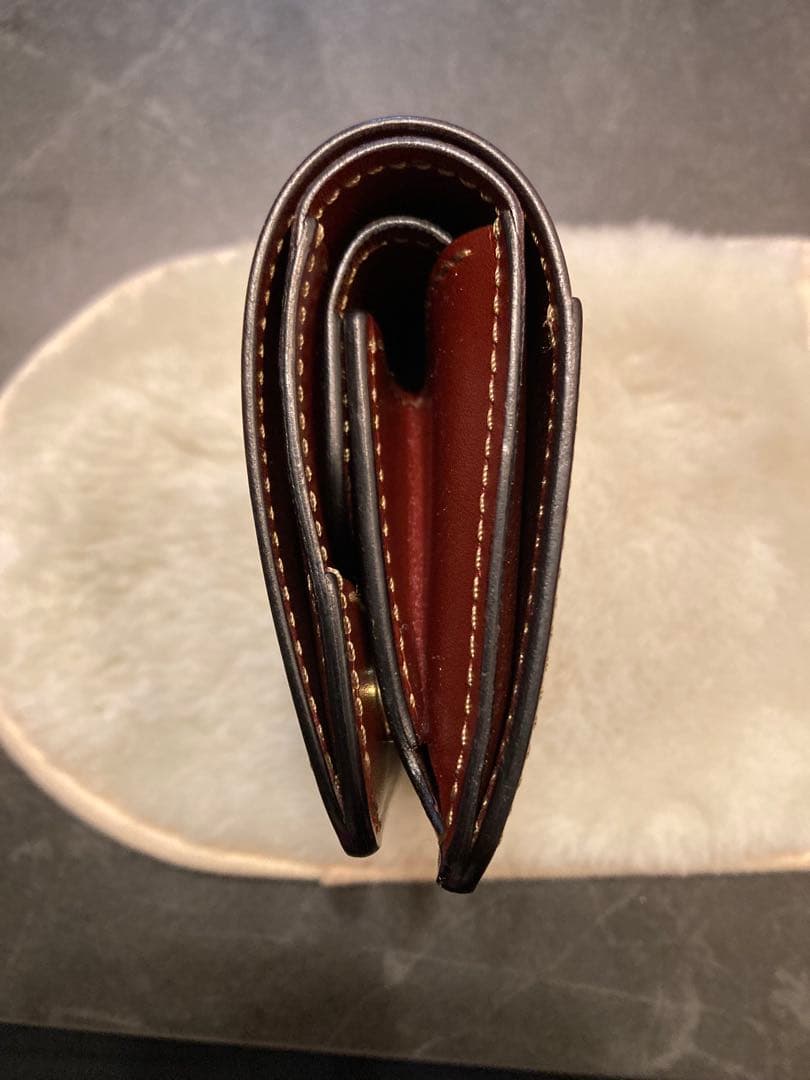 ワイルドスワンズ　CASA 限定色　バーガンディ