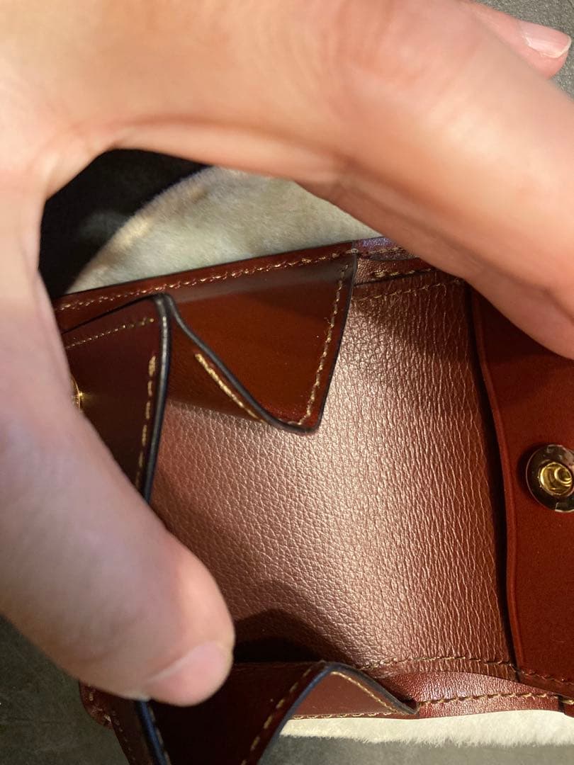 ワイルドスワンズ　CASA 限定色　バーガンディ