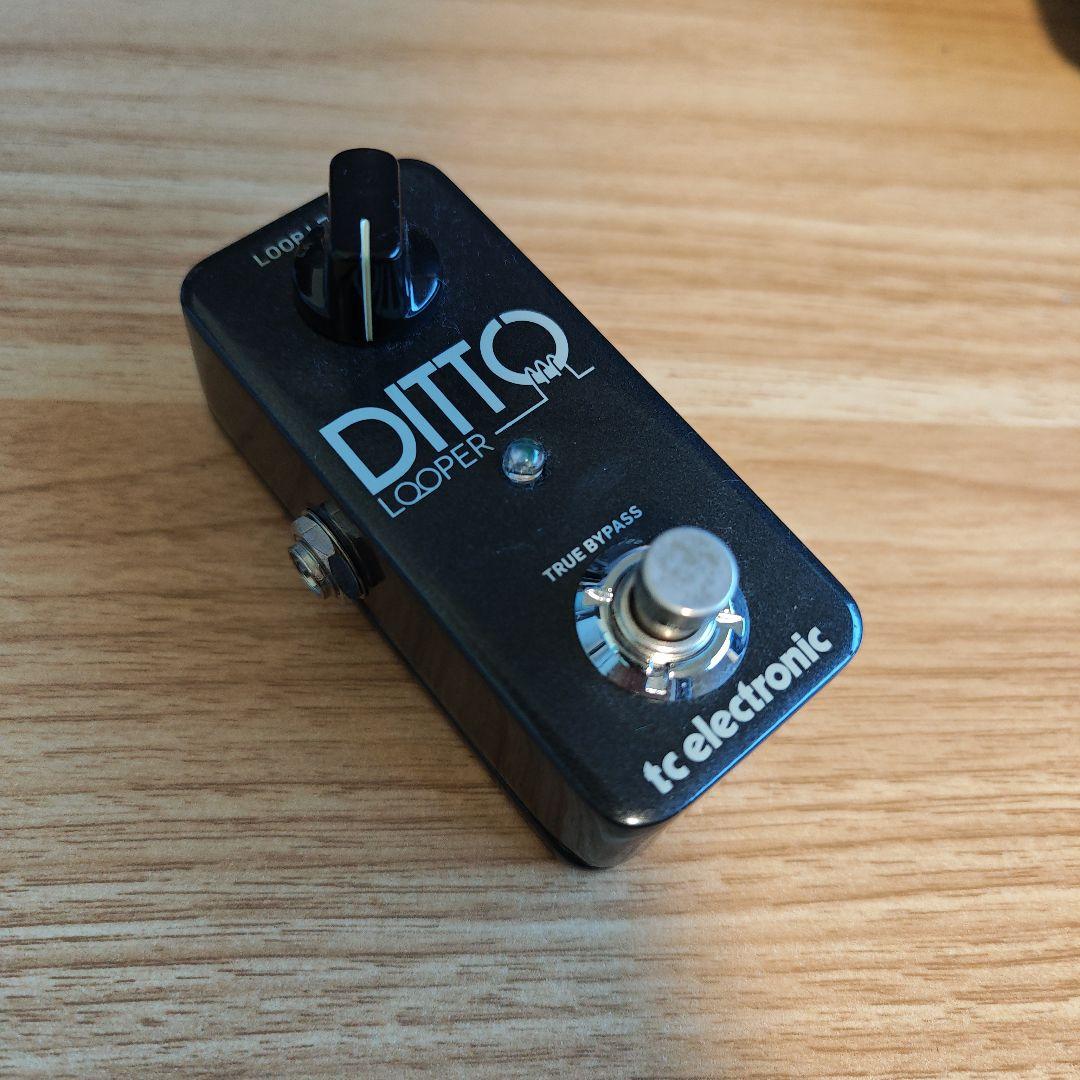 ギター tc electronic Ditto Looper Amazon.com: TC Electronic DITTO LOOPER Highly Intuitive Looper