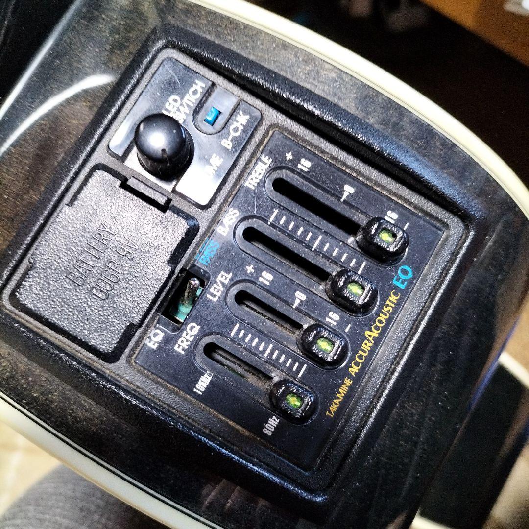 タカミネ ACCUR EQ アコースティックギター ケース付き