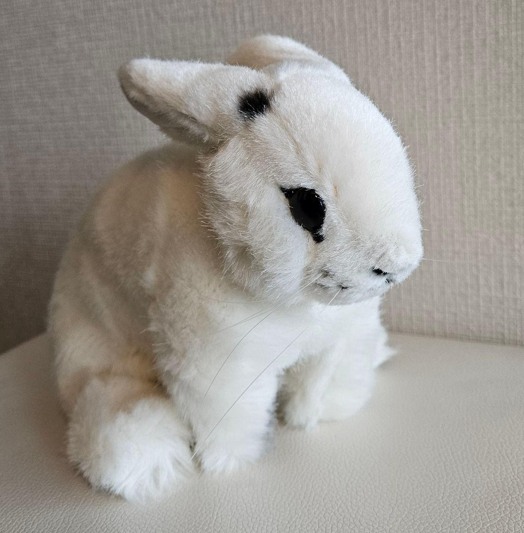 KÖSEN ウサギ　ケーセン　斑