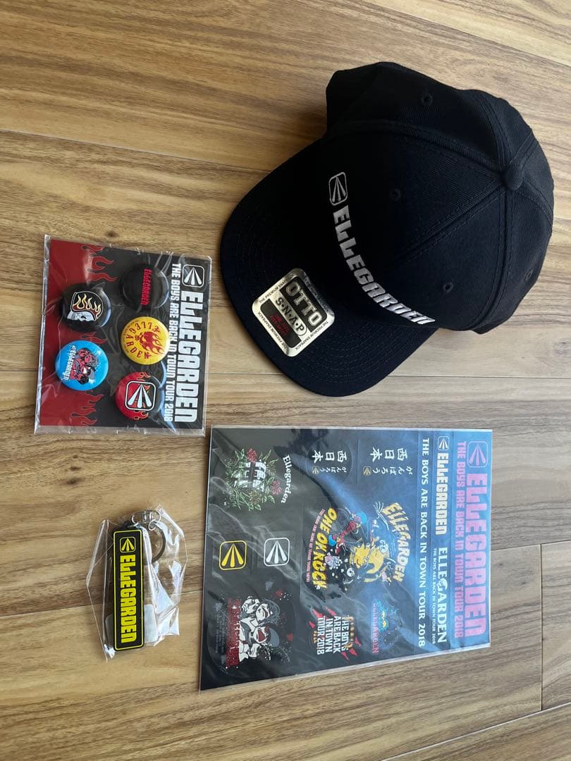 ELLEGARDEN 復活ライブグッズ 5点セット ヴィンテージ 通販