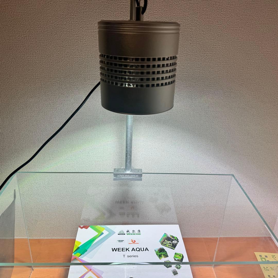 WEEK AQUA AQUA FLARE UVA T90RGB 中古