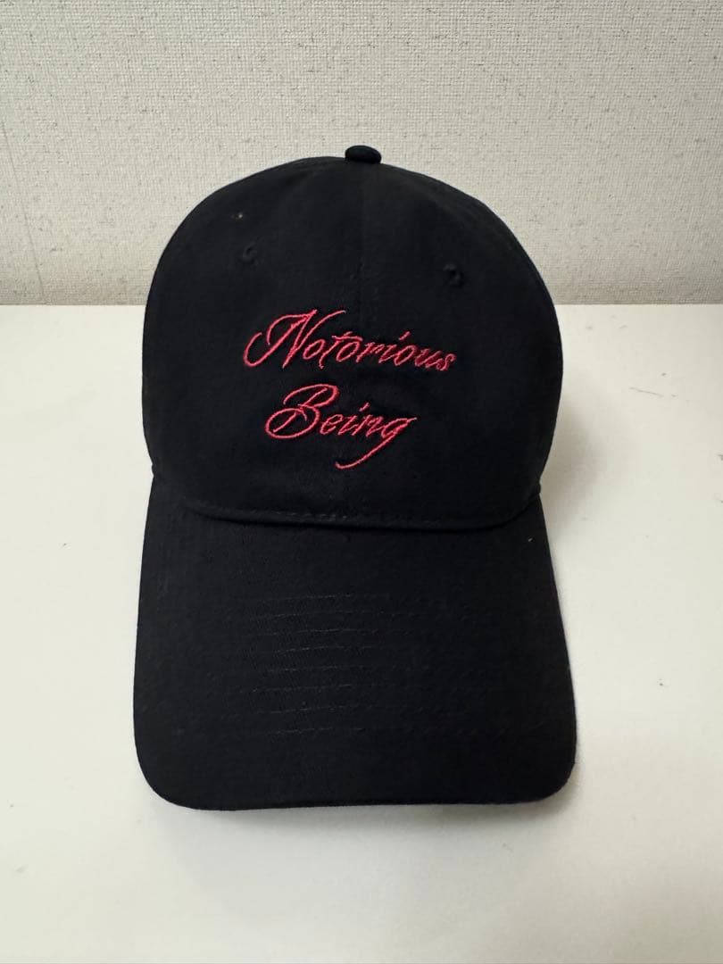 新品『早い者勝ち』Lady Gaga The MAYHEM Ball 公式グッズ - メルカリ