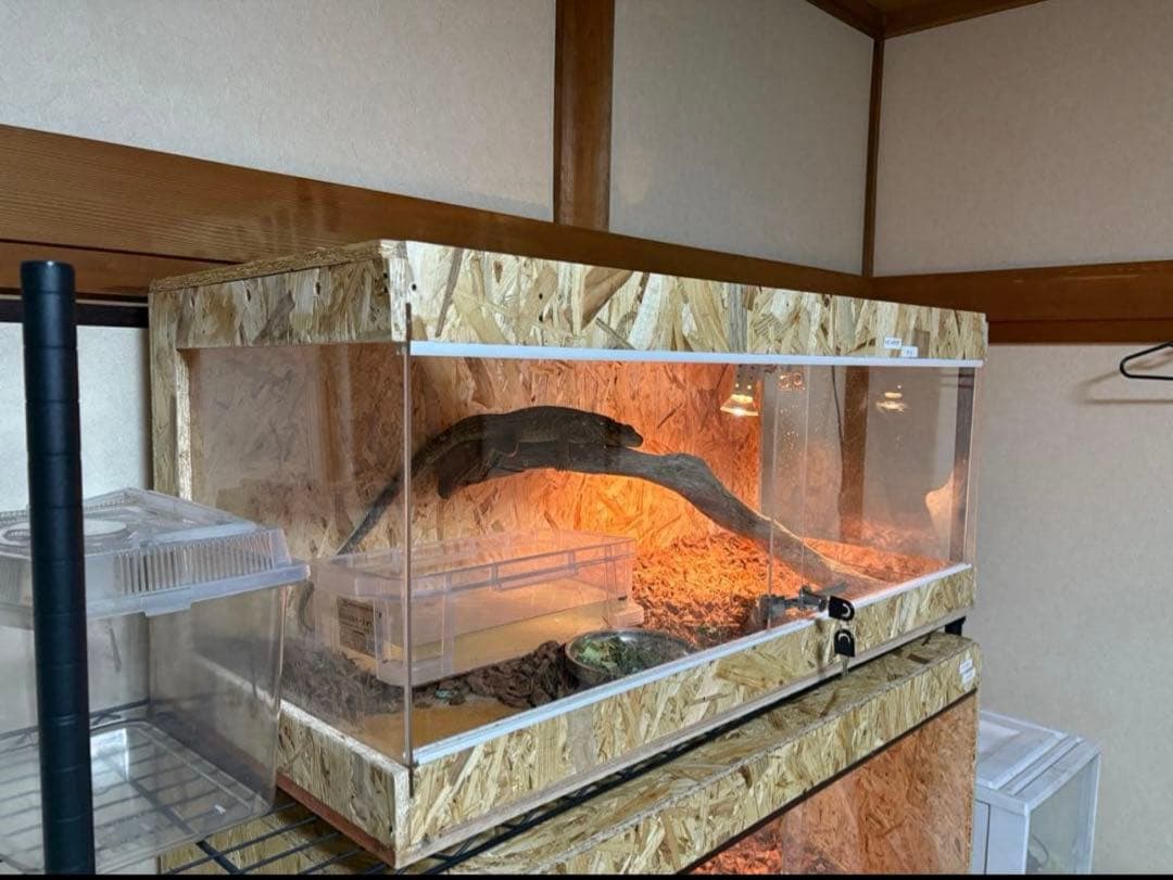 爬虫類ケージ 90x40x40 サイドアクリル 爬虫類 ペット 飼育ケージ