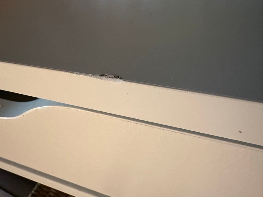 早い者勝ち IKEA ALEX アレクス　ホワイト 100×48cm