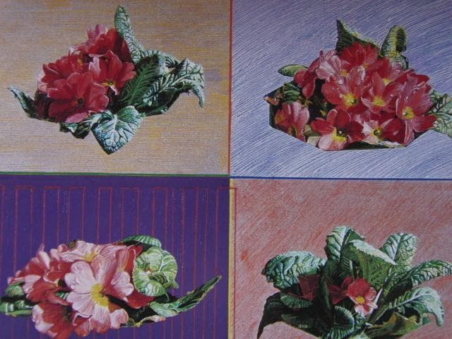 斎藤研、「花」、希少な額装用画集より、新品高級額装付