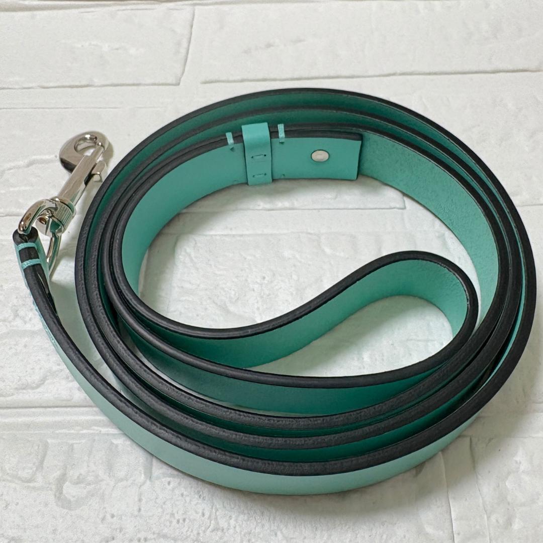 美品・特価✨ティファニー ブルー×シルバー レザー リード ペット