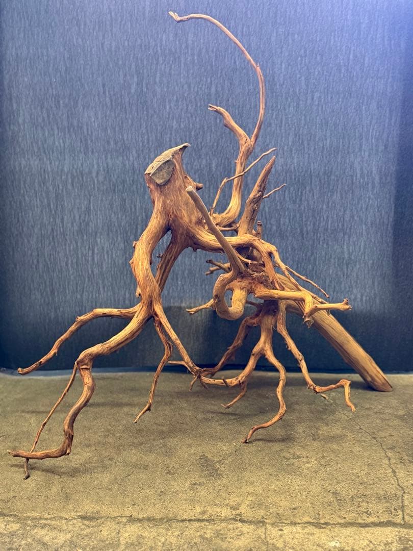 スマトラウッド・アクアリウム＆テラリウム流木(大)2本組SET - メルカリ