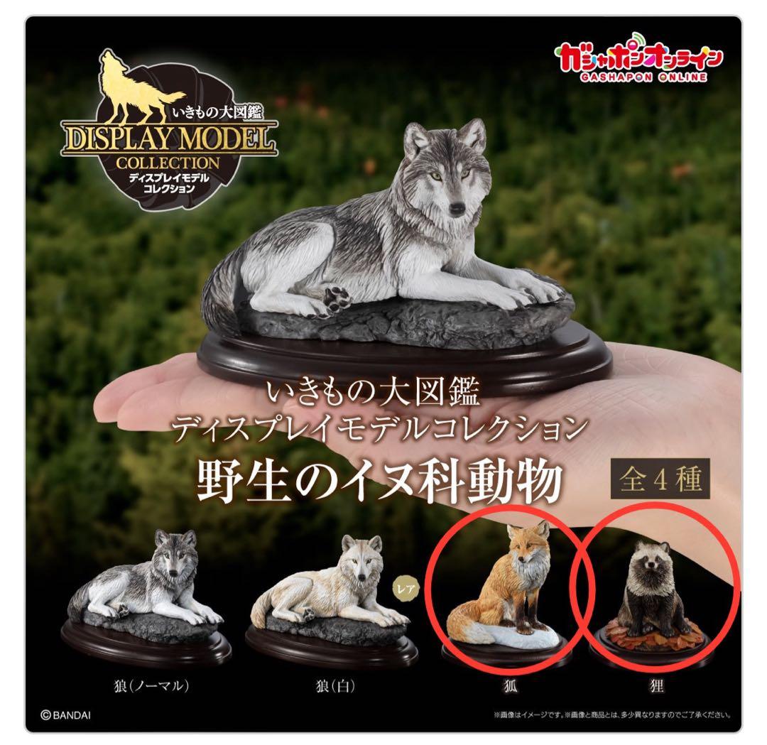 いきもの大図鑑 野生のイヌ科動物 - メルカリ