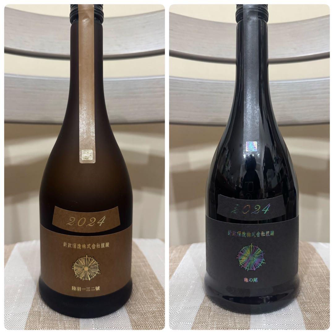 新政アッシュ水墨2024