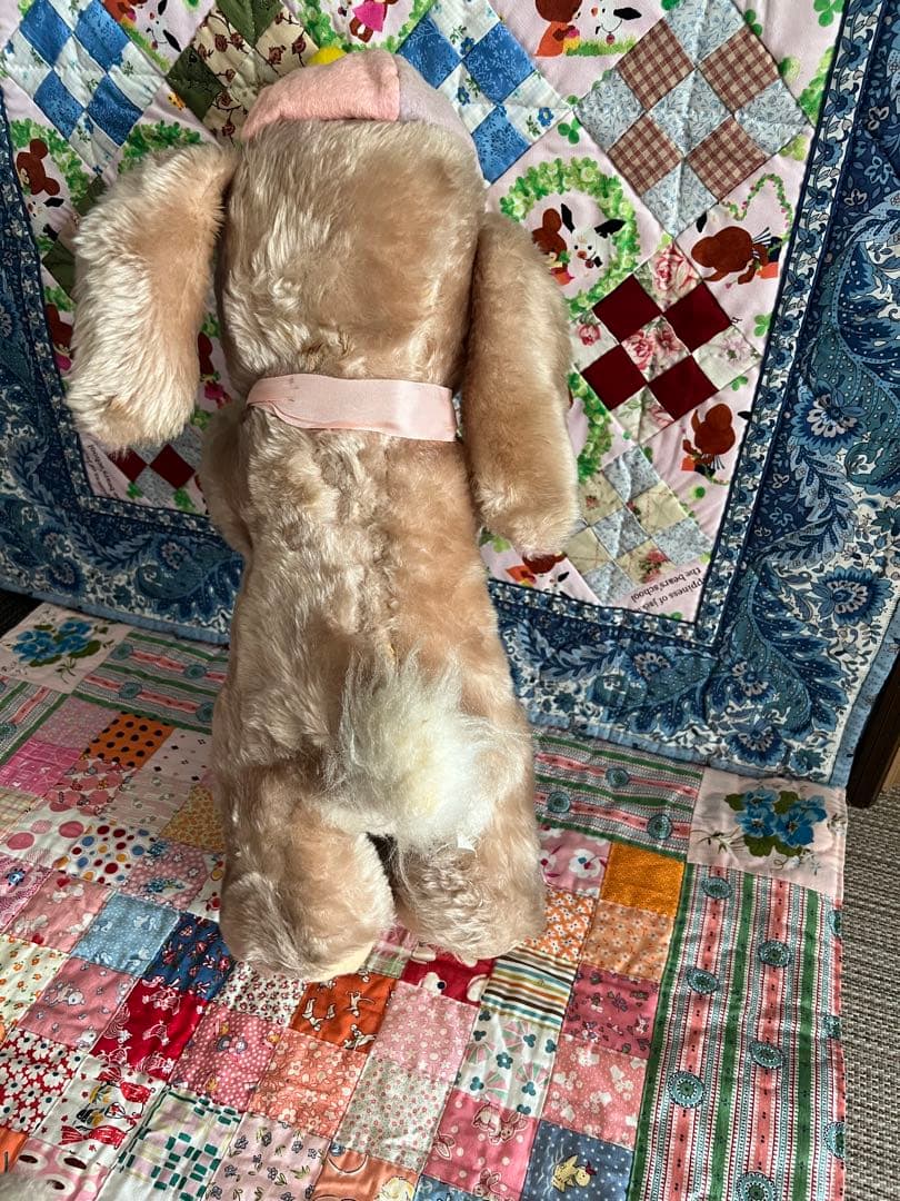 ラシュトン✳︎Rushtonうさぎさん