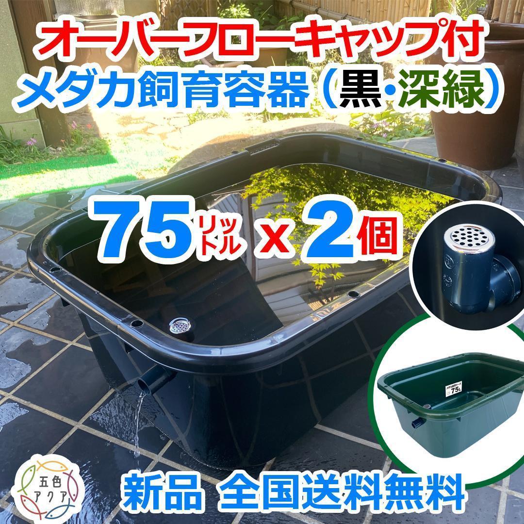 メダカ飼育ケース 75㍑x2個 黒・深緑あり オーバーフロー 金魚飼育容器