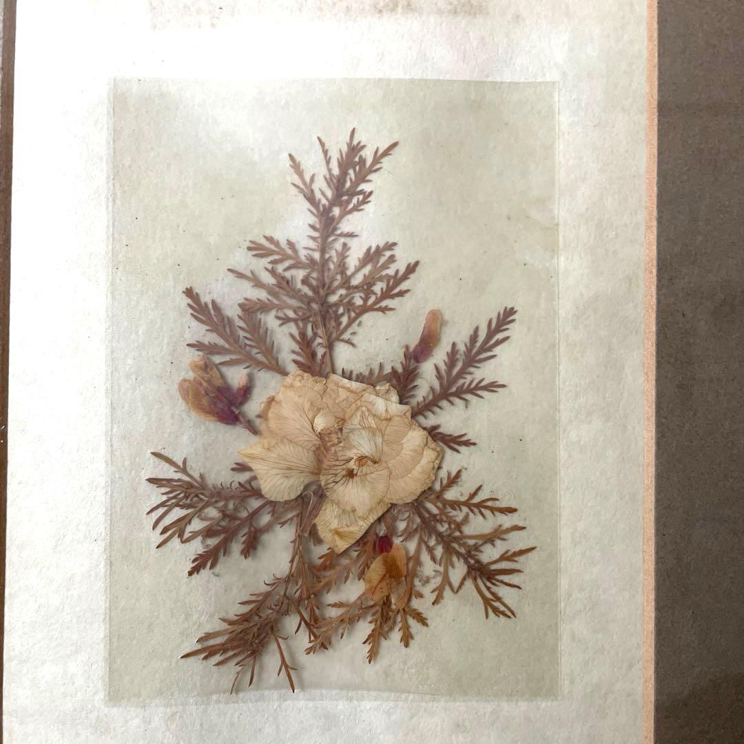 フランス製♡押し花アートフレーム♡幸せメッセージ入り♡ペア