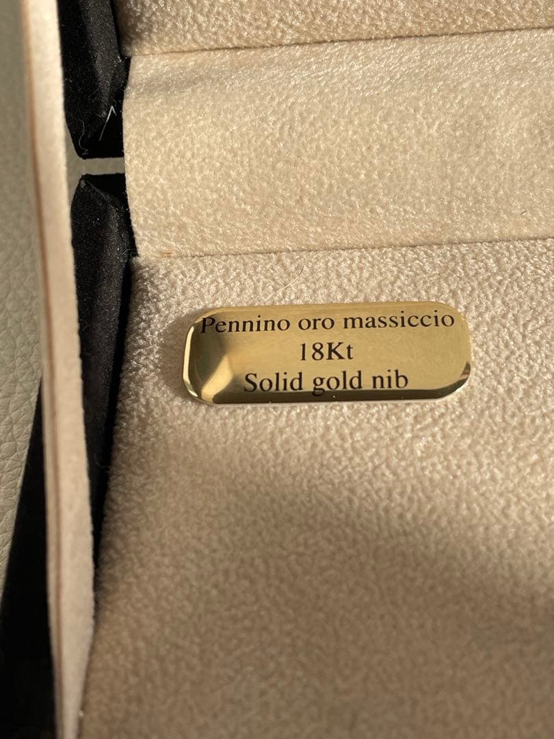 heyco様専用 万年筆アウロラ 新品イタリアン・フラッグ緑白赤3本