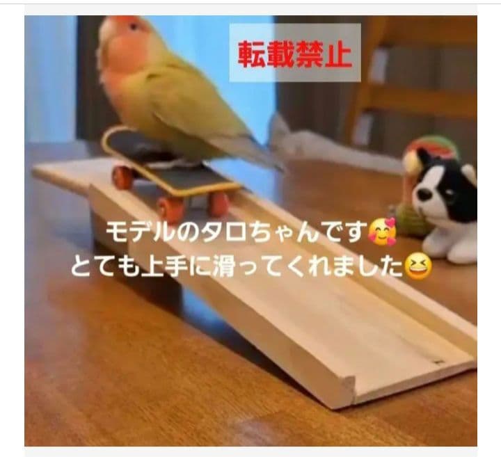 33⭐ ミニバードアスレチック 滑り台大サイズ‼ バードトイ インコ