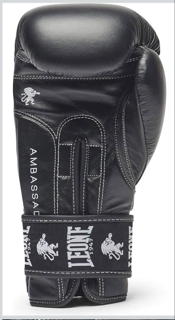 ボクシンググローブ LEONE 1047 10オンス 本革