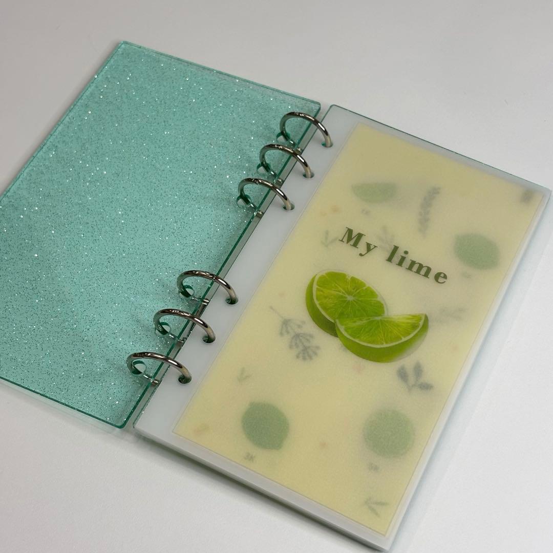 1点のみ】韓国アクリルバインダー貯金グリーンリフィル レジン