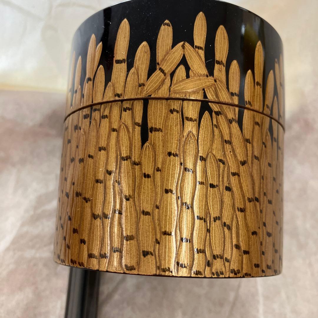 茶道具 ￼棗 楽只斎好 木賊面中次 葆光斎書付 共箱