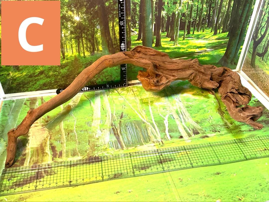 けすけ様　ご提案用　天然水槽用流木　沈水確認済み