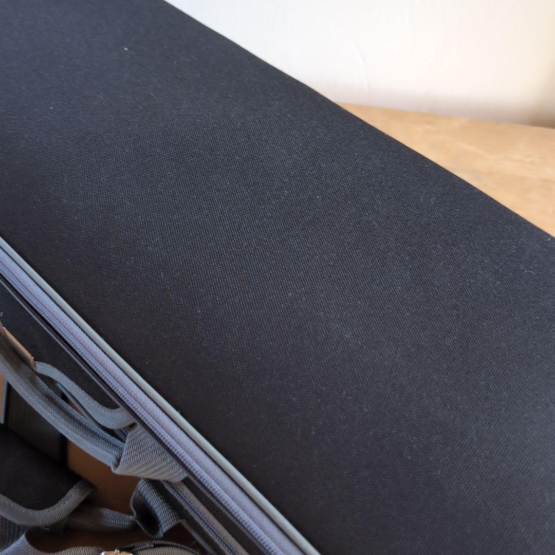 鑑定書有りVioline B. Guadagnini バイオリン PG803E