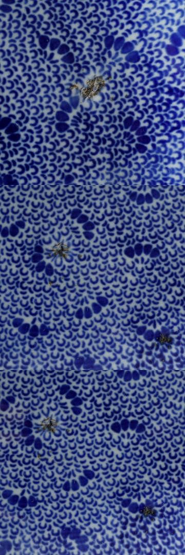 江戸幕末明治時代 古伊万里 有田 染付 尺寸大皿 微塵唐草 ベロ藍約35