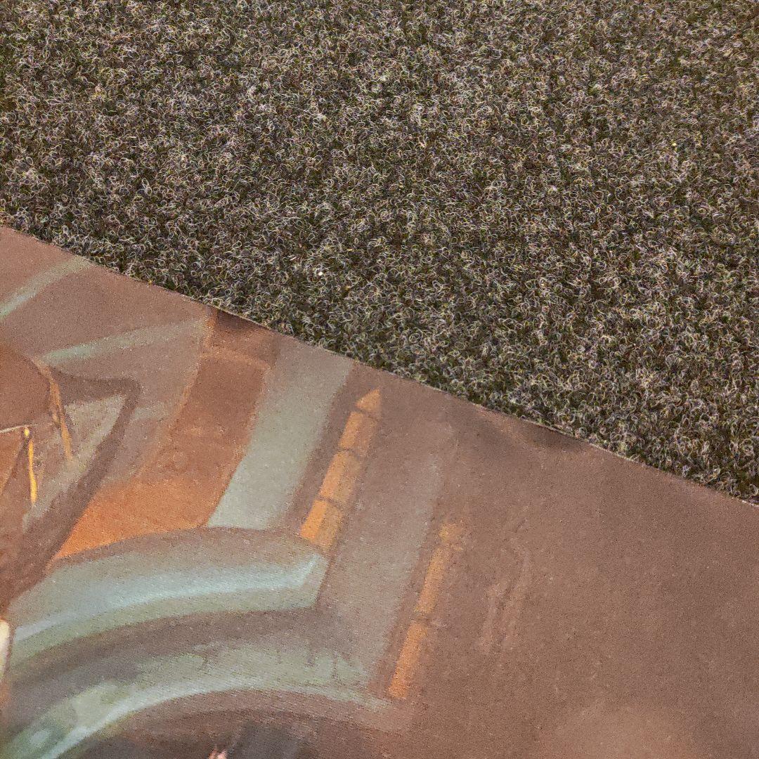 希少 MTG 黄金牙、タシグル プレイマット SCG