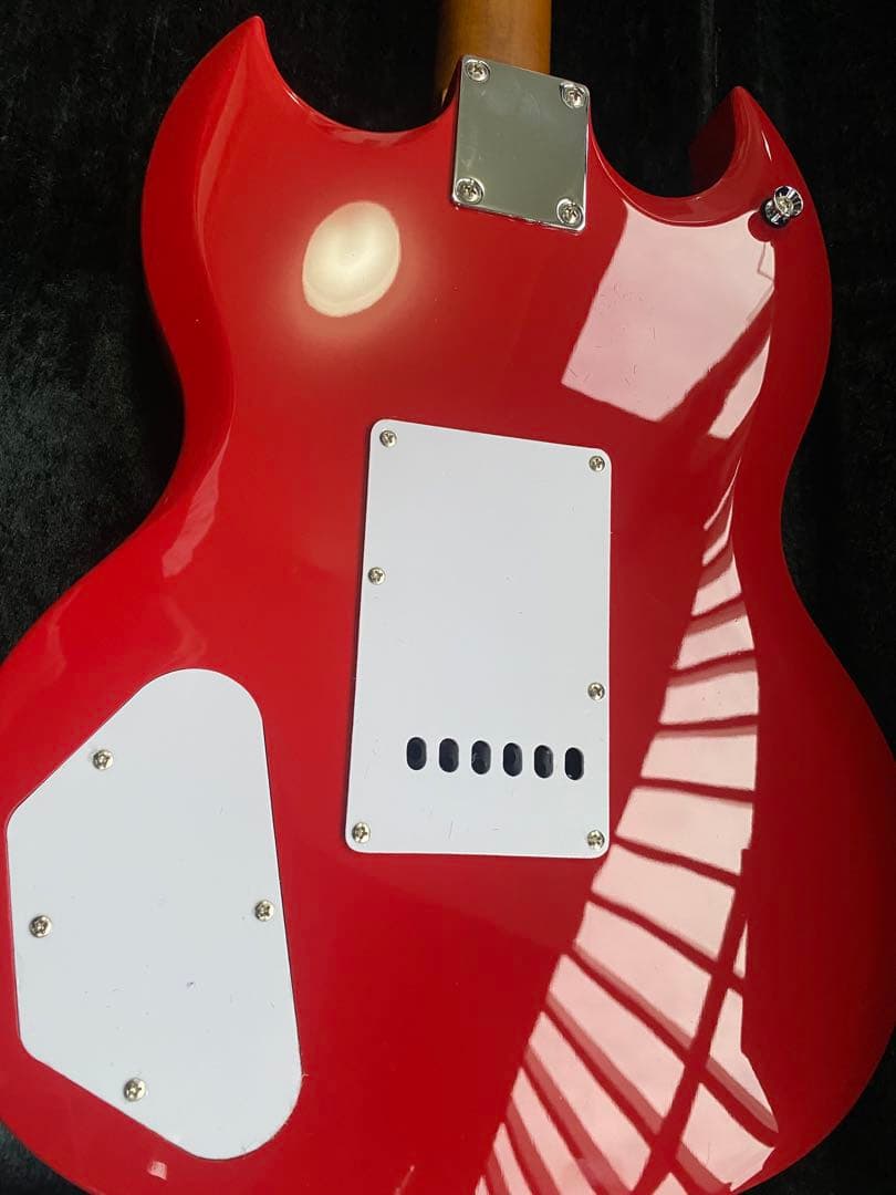 値下げ BACCHUS BSM-STD/RSM/FR ハードケース別売り