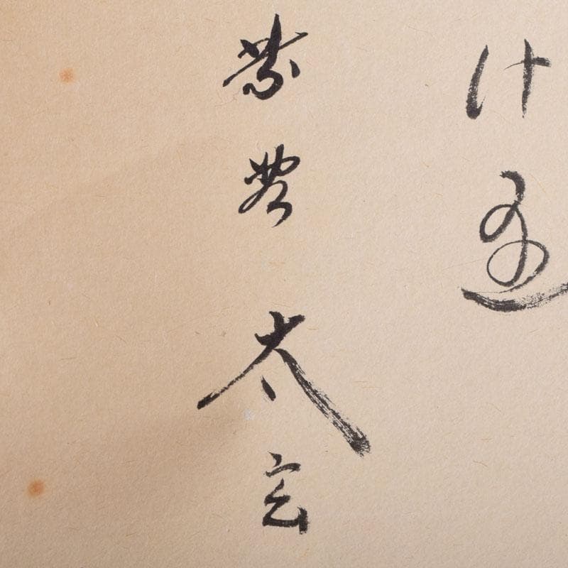 掛軸 紫野 小林太玄書 宗峯画賛 「紅葉の図」 もみじばに 共箱 C 8690A